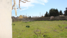 40 sot Torpaq, Satış, Bakı, Sabunçu
