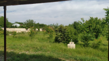 40 sot Torpaq, Satış, Tərtər
