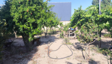 4 otaqlı Villa / Həyət evi, Satış, Abşeron