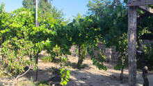 4 otaqlı Villa / Həyət evi, Satış, Abşeron