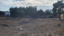 21 sot Torpaq, Satış, Bakı, Sabunçu