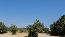 2 sot Torpaq, Satış, Bakı, Binəqədi