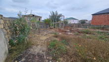 5 sot Torpaq, Satış, Abşeron