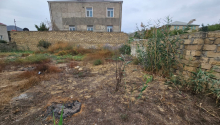 5 sot Torpaq, Satış, Abşeron