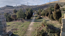 12 sot Torpaq, Satış, Bakı, Səbail