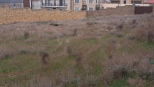 12 sot Torpaq, Satış, Bakı, Səbail, İçəri şəhər