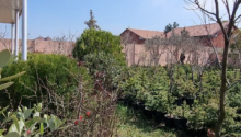 11 sot Torpaq, Satış, Bakı, Xəzər, Koroğlu