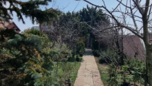 11 sot Torpaq, Satış, Bakı, Xəzər, Koroğlu