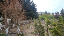 12 sot Torpaq, Satış, Abşeron