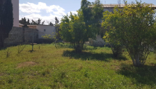 4 sot Torpaq, Satış, Bakı, Yasamal