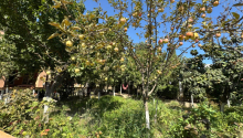 6 otaqlı Bağ evləri, Satış, Bakı, Xəzər