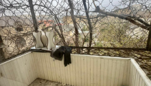 2 otaqlı Köhnə tikili, Kirayə (aylıq), Bakı, Sabunçu, Neftçilər