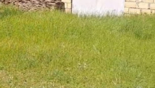 6 otaqlı Obyekt, Satış, İsmayıllı