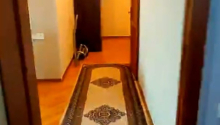 3 otaqlı Yeni tikili, Satış, Bakı, Yasamal, İnşaatçılar