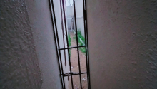 3 otaqlı Villa / Həyət evi, Satış, Bakı, Xəzər, Koroğlu
