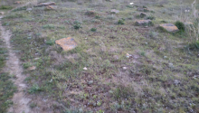 2500 m2 Torpaq, Satış, Bakı, Sabunçu, Koroğlu