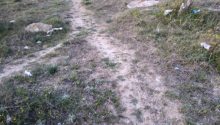 25 sot Torpaq, Satış, Bakı, Sabunçu, Koroğlu