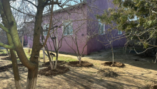 3 otaqlı Villa / Həyət evi, Satış, Bakı, Suraxanı