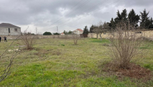 20 sot Torpaq, Satış, Bakı, Xəzər, Koroğlu
