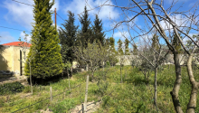 9 sot Torpaq, Satış, Bakı, Sabunçu, Koroğlu