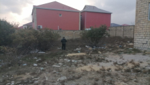 2 sot Torpaq, Satış, Abşeron
