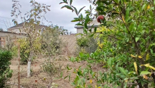 3 otaqlı Villa / Həyət evi, Satış, Bakı, Xəzər, Koroğlu