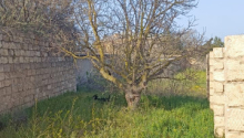 7 sot Torpaq, Satış, Bakı, Xəzər