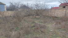 22 sot Torpaq, Satış, Sumqayıt