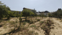 15 sot Torpaq, Satış, Bakı, Sabunçu