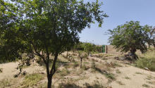 15 sot Torpaq, Satış, Bakı, Sabunçu
