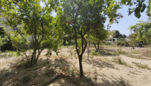 15 sot Torpaq, Satış, Bakı, Sabunçu