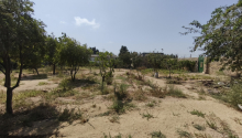 15 sot Torpaq, Satış, Bakı, Sabunçu