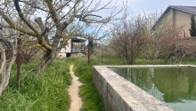 16 sot Torpaq, Satış, Bakı, Xəzər, Koroğlu