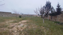 24 sot Torpaq, Satış, Bakı, Sabunçu
