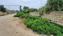 6 sot Torpaq, Satış, Xaçmaz