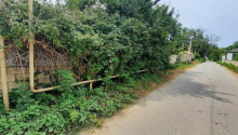 6 sot Torpaq, Satış, Xaçmaz
