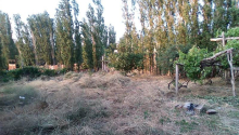 6 sot Torpaq, Satış, Xaçmaz
