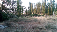 6 sot Torpaq, Satış, Xaçmaz