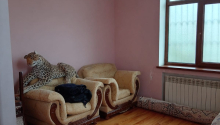 5 otaqlı Villa / Həyət evi, Satış, Bakı, Səbail