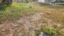 13 sot Torpaq, Satış, Bakı, Sabunçu