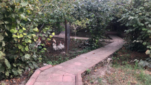 6 otaqlı Villa / Həyət evi, Satış, Xaçmaz