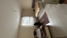 10 otaqlı Villa / Həyət evi, Satış, Bakı, Binəqədi, 20 yanvar
