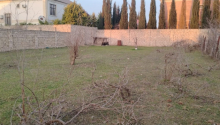 5 sot Torpaq, Satış, Bakı, Xəzər, Koroğlu