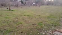 5 sot Torpaq, Satış, Bakı, Xəzər, Koroğlu