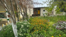 3 otaqlı Bağ evləri, Satış, Bakı, Xəzər, Koroğlu