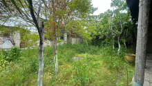 3 otaqlı Bağ evləri, Satış, Bakı, Xəzər, Koroğlu