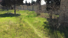 23 sot Torpaq, Satış, Bakı, Sabunçu