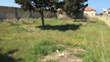 23 sot Torpaq, Satış, Bakı, Sabunçu