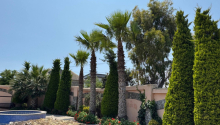 7 otaqlı Bağ evləri, Kirayə (aylıq), Bakı, Xəzər