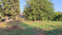 25 sot Torpaq, Satış, Abşeron